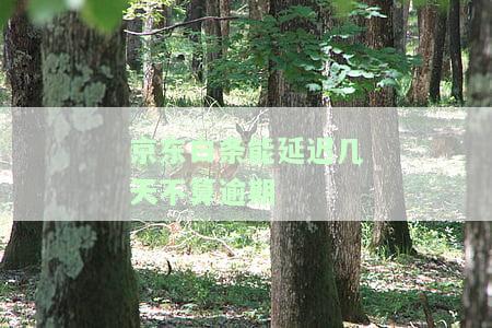 能几天不算逾期？期还款规定及注意事