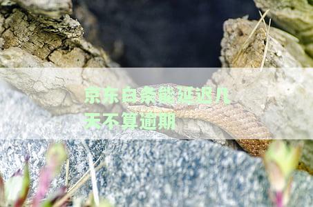 期付款：最多能期多少天？