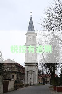 如何处理税控盘逾期未申报与抄报问题？