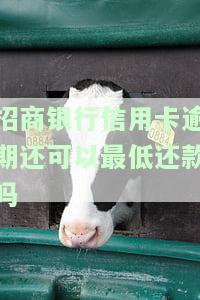 招商银行的信用卡逾期了,要全额还清吗，信用卡逾期，全额还款是唯一选择吗？——招商银行案例解析