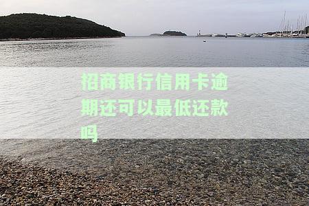 招商卡逾期2期，归还最低2-3天可继续使用