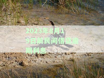 2023年8月19日前民间借贷逾期利息怎么算，详解2023年8月19日前民间借贷逾期利息计算方法