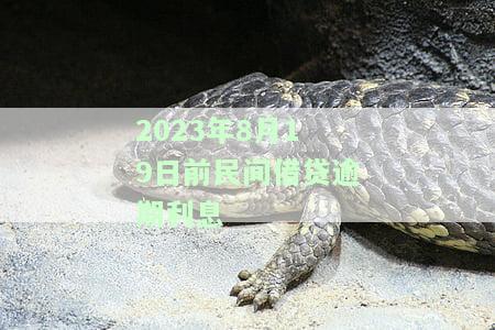 2023年8月19日前民间借贷逾期利息是多少，2023年8月19日前：了解民间借贷逾期利息的规定