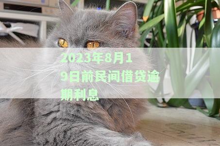 2023年8月19日前民间借贷逾期利息计算标准及方法