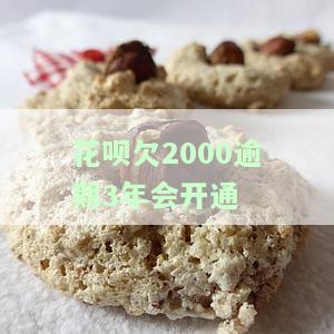 花呗欠2000逾期3年会开通分期吗，花呗欠款2000元逾期三年，能否申请分期还款？