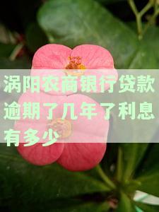 农商贷款逾期一个月的严重后果：可能被起诉，具体影响需了解详情