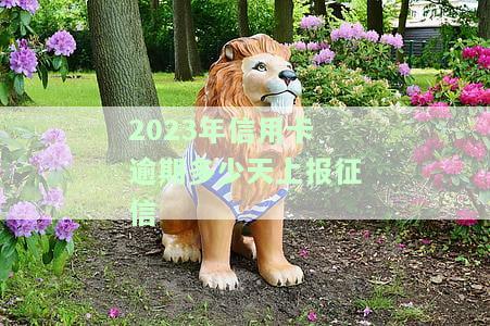 2023年信用卡逾期多久会上报征信？影响及解决办法