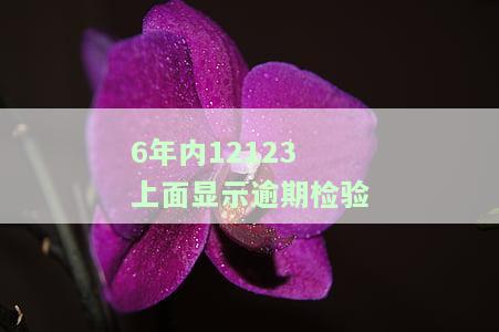 12123机动车逾期检验多久能消除，机动车逾期检验多久可以消除？12123告诉你答案！