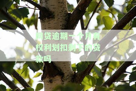 网贷逾期一个月是否会坐牢？知乎上的解答与法律分析