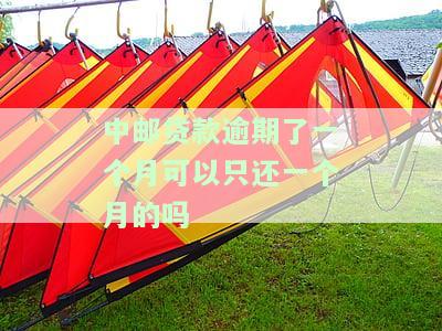 中邮贷款逾期了一个月可以只还一个月的吗