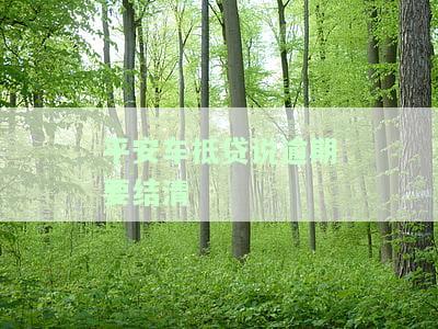 平安车抵贷逾期须结清，如何理解？