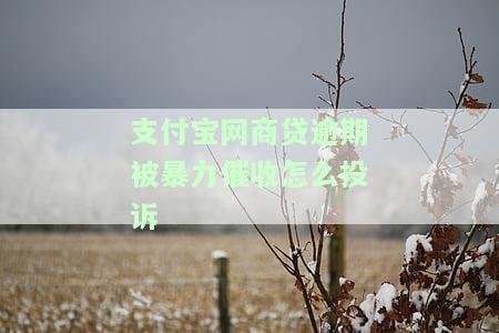 支付宝网商贷相关部门投诉：是否有效？12378渠道可尝试