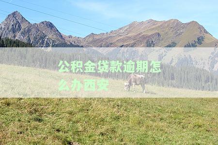 公积金贷款逾期能否再贷？影响因素解析