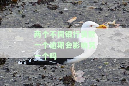 两个不同银行贷款一个逾期会影响另一个吗？知乎网友分享经验