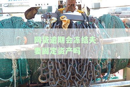 网贷逾期会影响夫妻固定资产吗？——知乎上的讨论