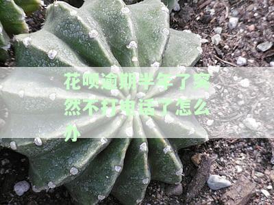 花呗逾期半年突然未接电话，如何处理?