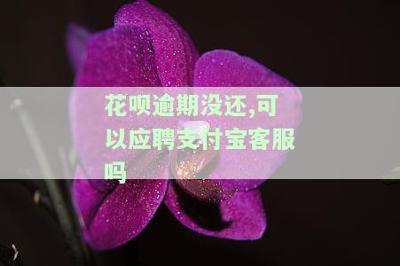 花呗逾期没还,可以应聘支付宝客服吗