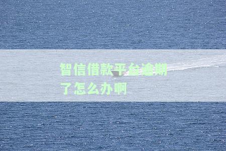 智信借款平台怎么样？全面解析中的智信借款平台可靠性