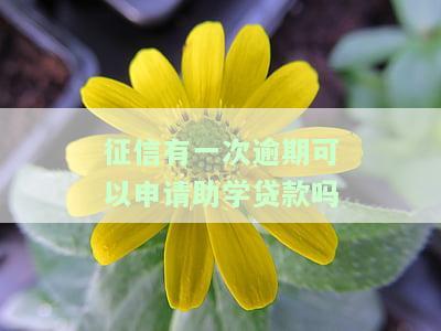 征信有一次逾期能申请信用卡吗？知乎解答