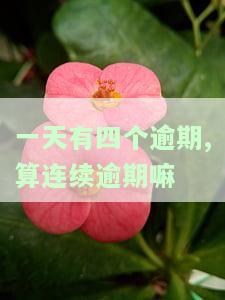 一天有四个逾期，算连续逾期嘛-一天有四个逾期,算连续逾期嘛怎么办
