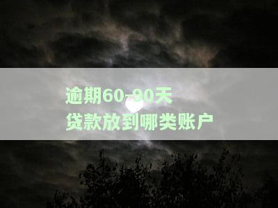 逾期60-90天贷款放到哪类账户里面，逾期60-90天贷款的分类与管理：如何正确归入账户？