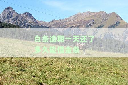 白条逾期1天后还款，还能继续使用吗？安全性如何？