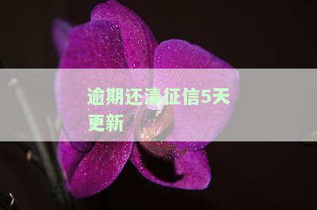 逾期还清征信5天更新