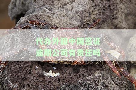 代办外工作签证：需要资质吗？是否违法？