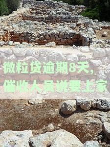 微粒贷逾期7天，有人打电话说如果不处理将要求还全额