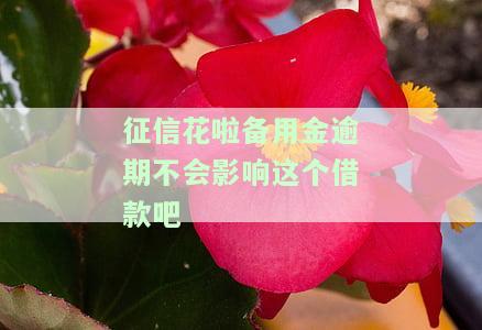 备用金逾期征信：影响及查询方式