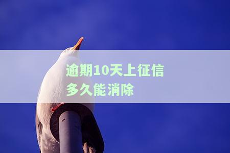 逾期10天上征信多久能消除记录？影响及恢复时间解析