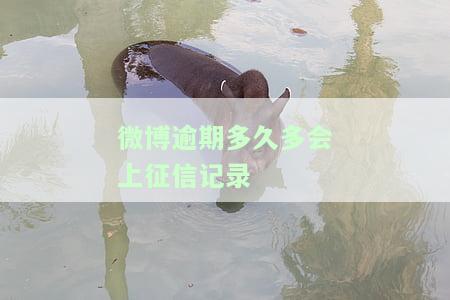 微博逾期会怎样？影响、处理及处罚全解析