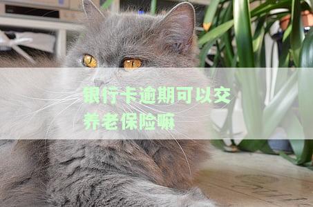 银行卡逾期可以交养老保险嘛