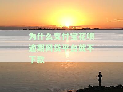 为什么支付宝花呗逾期网贷平台就不下款