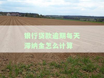 银行贷款逾期每天滞纳金怎么计算的，如何计算银行贷款逾期每天的滞纳金？