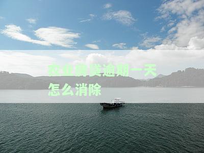 农业房贷逾期一天怎么消除记录，如何消除农业房贷逾期一天的不良记录？