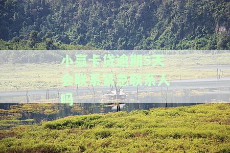 小赢卡贷逾期5天会联系紧急联系人吗安全吗，小赢卡贷：逾期5天是否会联系紧急联系人？平台安全性如何？