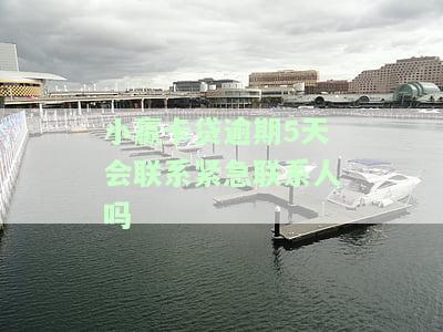 小赢卡贷逾期两天会联系紧急联系人吗？真的吗？安全吗？