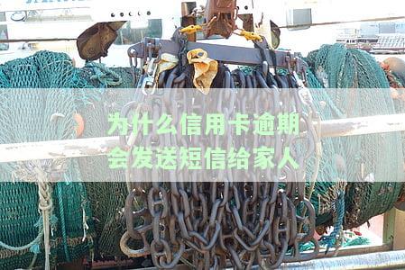 如何应对因信用卡逾期频繁接到的电话协商