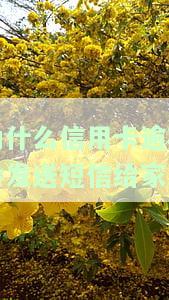 为什么信用卡逾期会发送短信给家人-为什么信用卡逾期会发送短信给家人呢