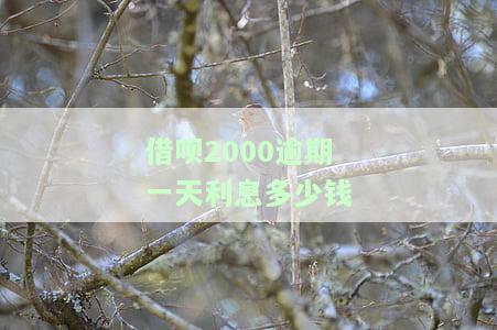 借呗2000逾期七天利息是多少？