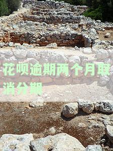 花呗逾期3个多月被取消分期，是否会上门催收？解决方案是什么？