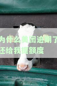 美团逾期几天后，为何其他网贷平台无法借款？美团逾期后还款还能再贷吗？
