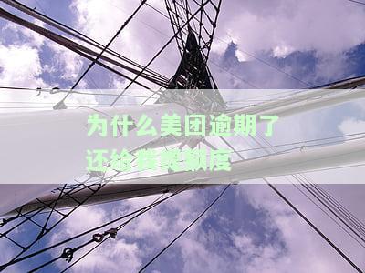 美团贷款逾期后还了有额度但是借不出来了，美团贷款逾期还款后仍有额度，为何无法再次借款？