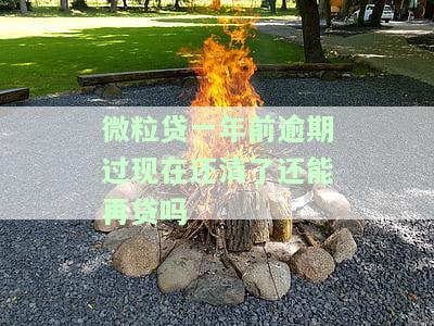 微粒贷：一年前逾期已还清，现在能否再次贷款？安全性如何？