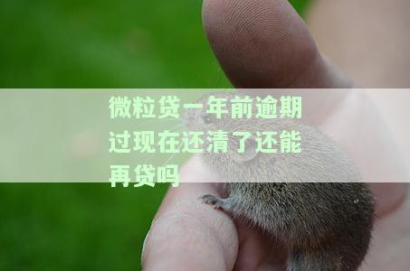 微粒贷一年前逾期过现在还清了还能再贷吗安全吗，微粒贷逾期一年后已还款，能否再次贷款？安全性如何？