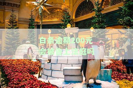 白条逾期200元钱不还：后果、解决办法全解析