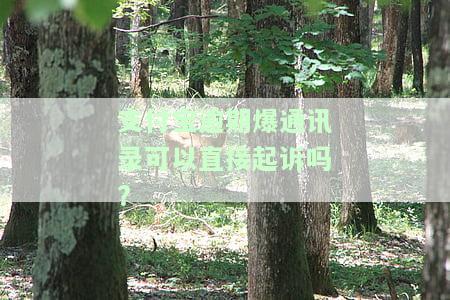 支付宝逾期：会否给通讯录内所有人打电话？安全风险如何？