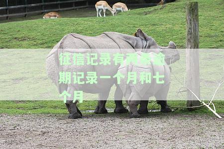 征信有两条逾期一个月内：能贷款吗？有何影响？
