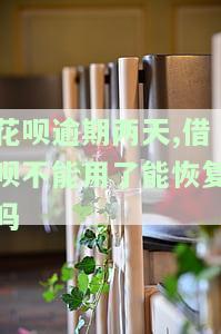 花呗逾期两天,借呗不能用了能恢复吗安全吗，花呗逾期两天，借呗能否恢复使用？安全性如何？